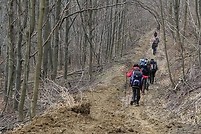 Ćwiczenia terenowe Bieszczady-Otryt-Połonina Wetlińska-Mała Rawka-kwiecien 2011